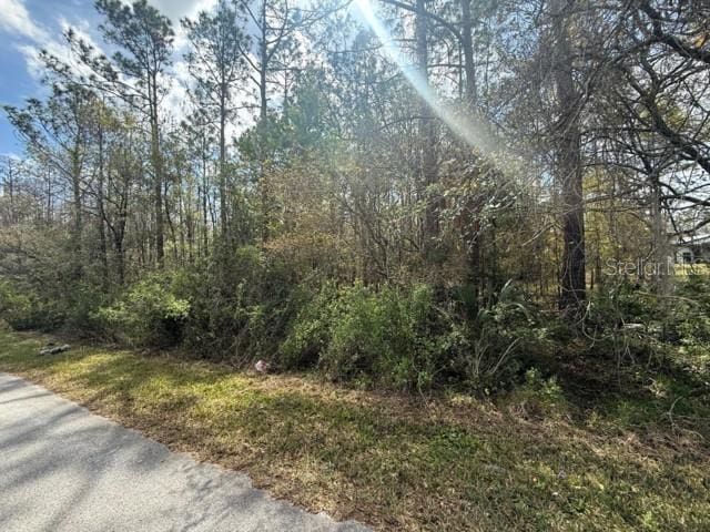 Listing photo 3 for Green Willow Run Lot 759, Wesley Chapel FL 33544