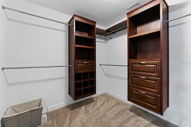 spacious closet with carpet