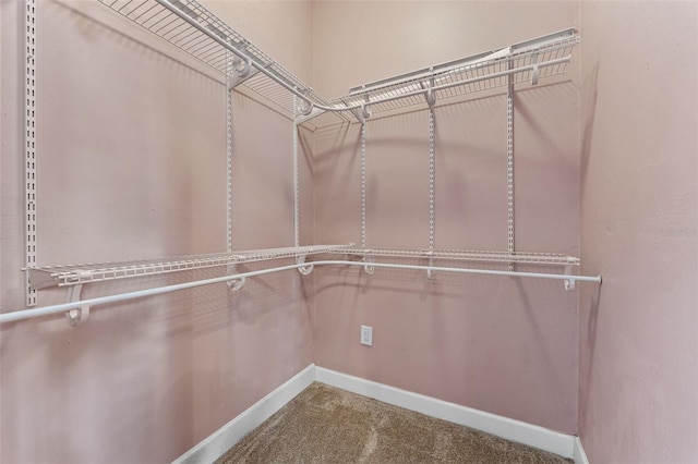 spacious closet with carpet