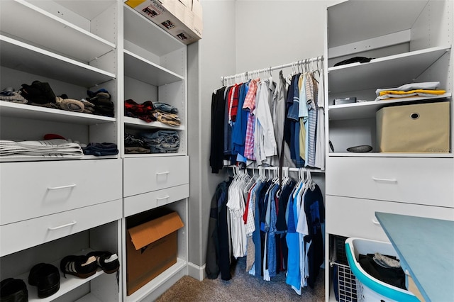 spacious closet with carpet flooring