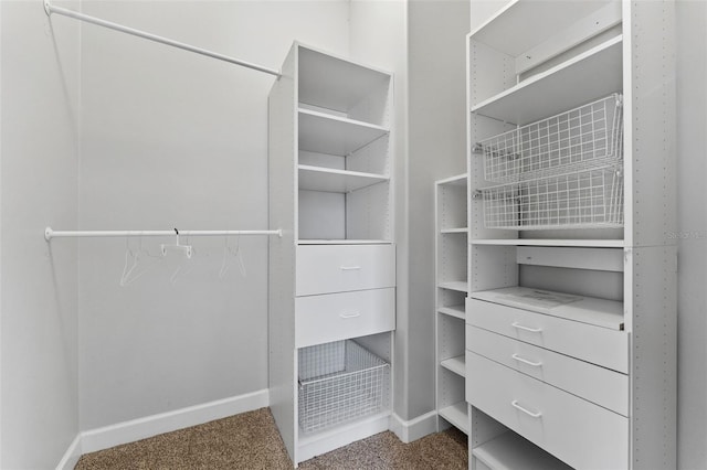 spacious closet with carpet