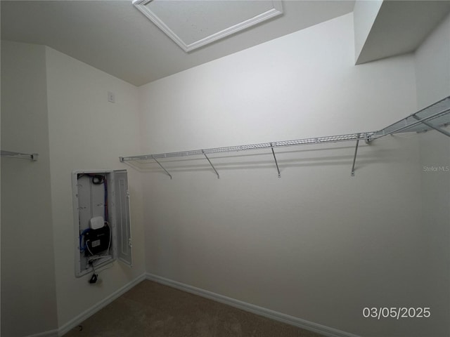 walk in closet with carpet flooring