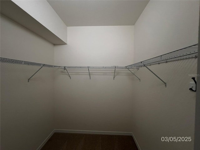 view of walk in closet