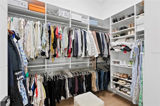 walk in closet featuring wood finished floors