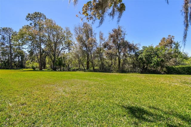 7309 Night Heron Dr, Land O Lakes, FL 34637 - photo 72