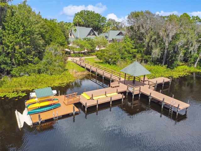 7309 Night Heron Dr, Land O Lakes, FL 34637 - photo 81