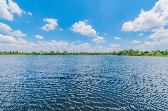 7309 Night Heron Dr, Land O Lakes, FL 34637 - photo 88