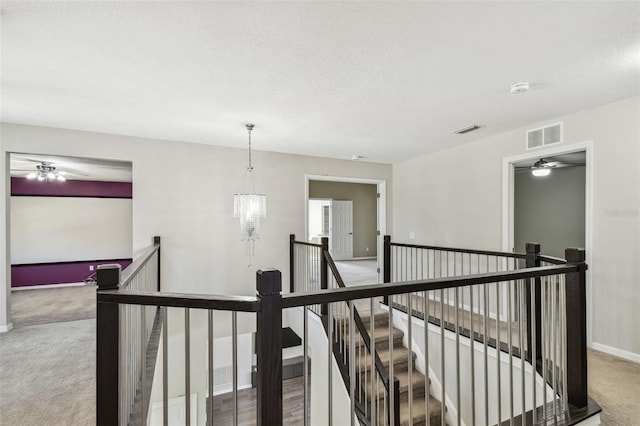 7309 Night Heron Dr, Land O Lakes, FL 34637 - photo 57