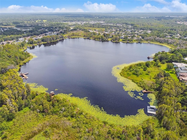 7309 Night Heron Dr, Land O Lakes, FL 34637 - photo 82