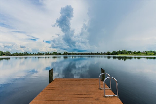 7309 Night Heron Dr, Land O Lakes, FL 34637 - photo 87
