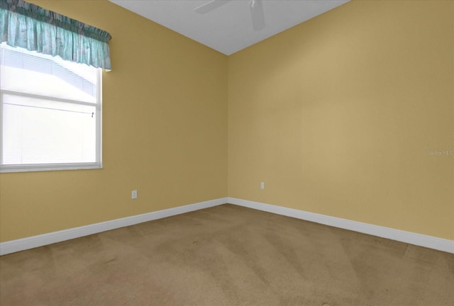 4823 Deer Lodge Rd, New Port Richey, FL 34655 - photo 14