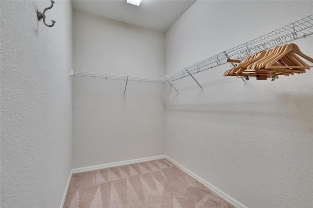 walk in closet with light carpet