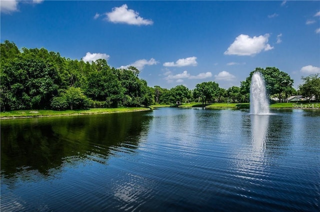 3798 Darston St, Palm Harbor, FL 34685 - view of water feature