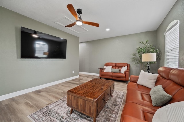 living area featuring attic access, baseboards, light wood-style flooring, and a ceiling fan