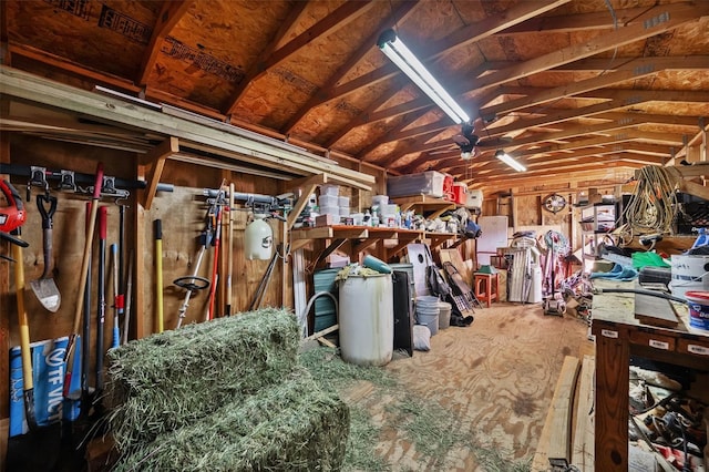 view of storage room