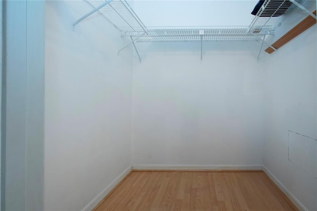 walk in closet featuring light wood finished floors