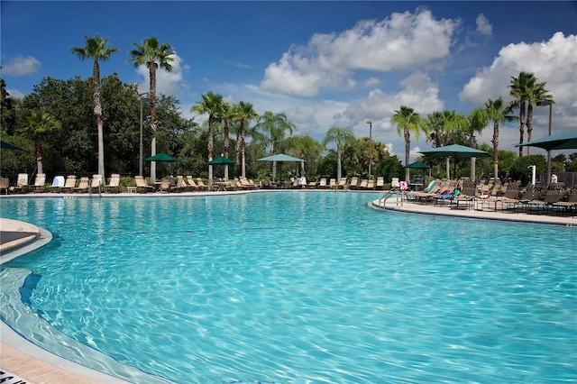 pool featuring a patio and fence