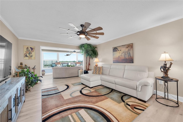 living area featuring light wood-style floors, ornamental molding, and a textured ceiling