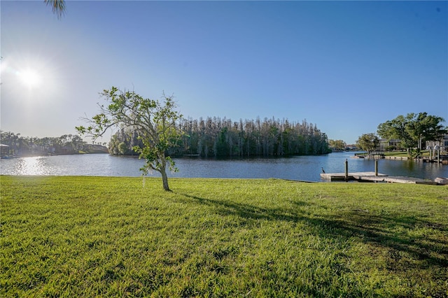 10411 Cory Lake Dr, Tampa, FL 33647 - photo 31