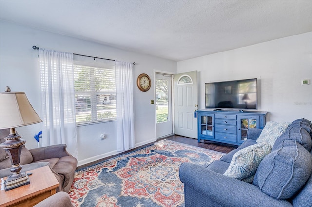 living area featuring baseboards, a textured ceiling, and wood finished floors