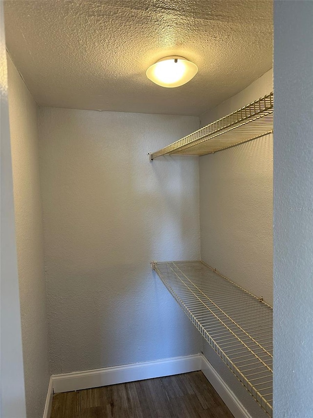 spacious closet featuring dark wood-style floors