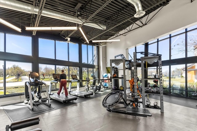 exercise room with plenty of natural light and a high ceiling