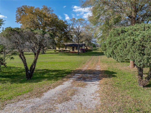 view of street featuring driveway