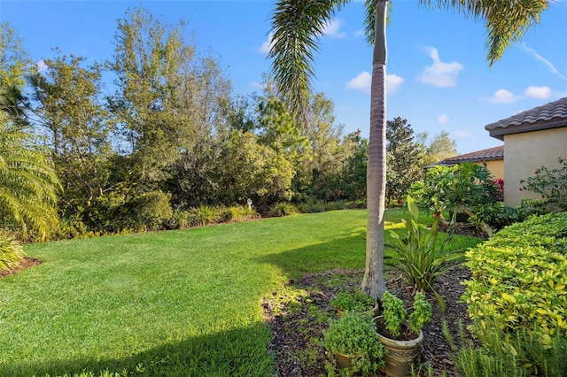 9708 Highland Park Pl, Palmetto, FL 34221 - view of grassy yard