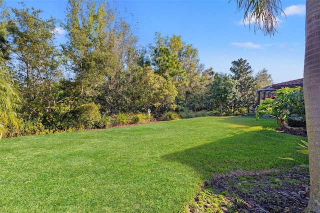 9708 Highland Park Pl, Palmetto, FL 34221 - view of green lawn