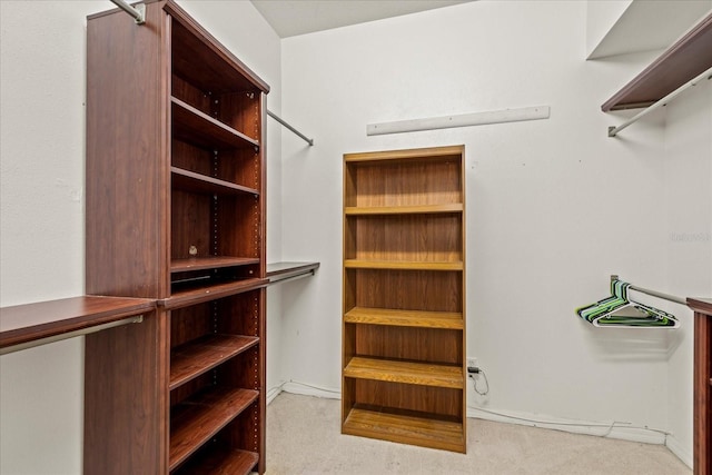 walk in closet with carpet