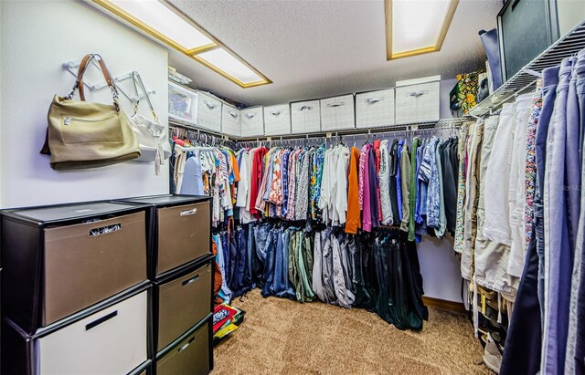 spacious closet with carpet flooring