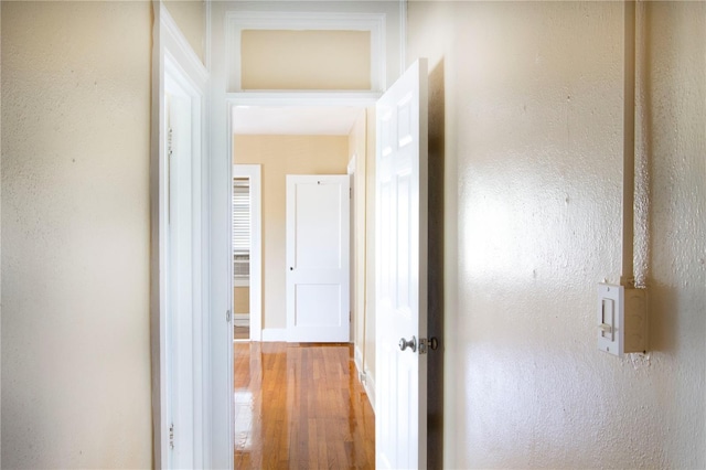 corridor with wood finished floors