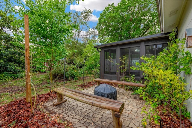 view of yard featuring a patio and a sunroom