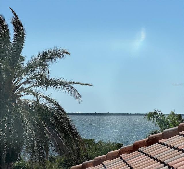 1314 Jumana Loop, Apollo Beach, FL 33572 - water view