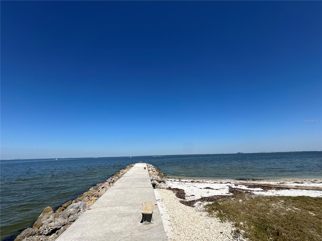 1314 Jumana Loop, Apollo Beach, FL 33572 - property view of water with a view of the beach
