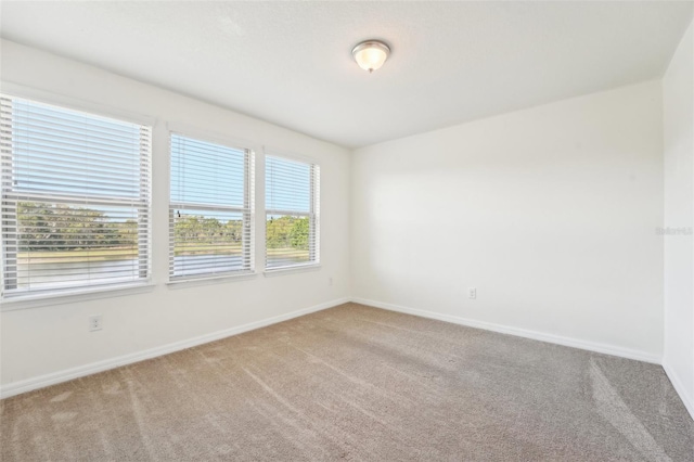 spare room with baseboards and carpet floors