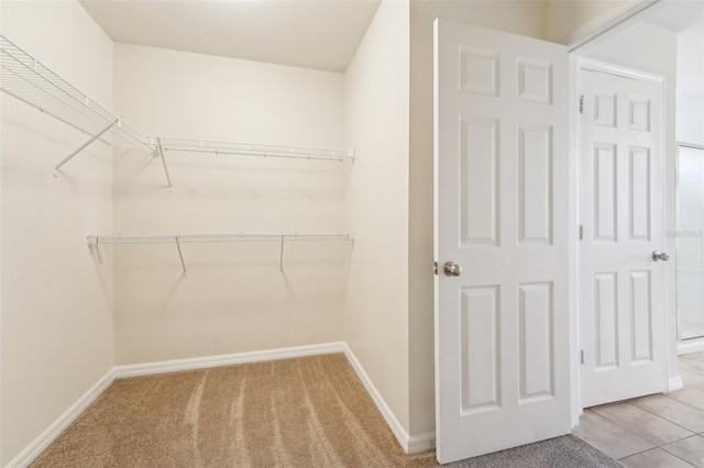 walk in closet featuring carpet floors