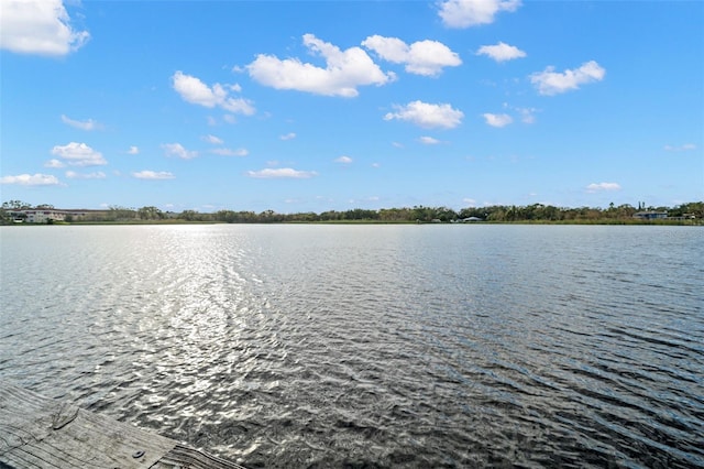 view of water feature