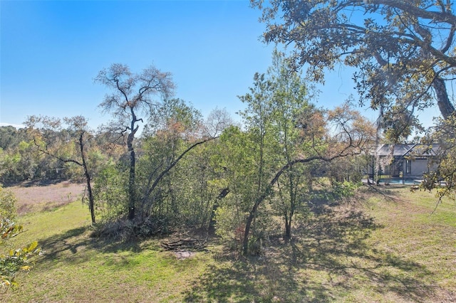 view of yard with a wooded view