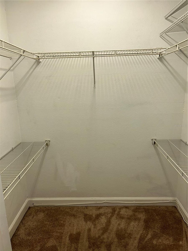 walk in closet with carpet