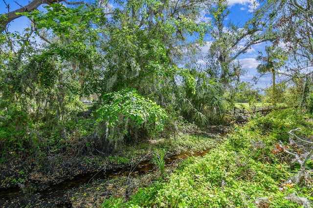 view of nature with a wooded view