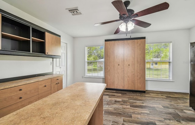 kitchen featuring dark wood finished floors, a healthy amount of sunlight, visible vents, and baseboards