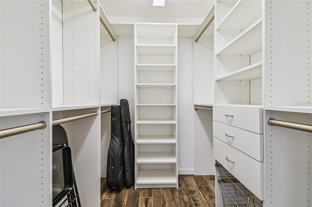 walk in closet featuring dark wood-style flooring