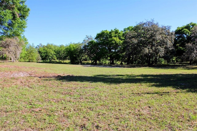0 St Joe Rd, Dade City, FL 33525 - photo 6