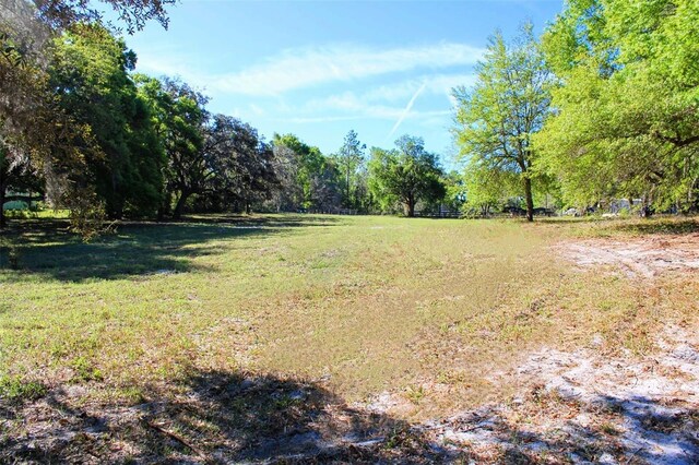 0 St Joe Rd, Dade City, FL 33525 - photo 5