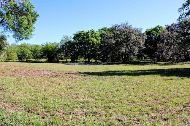 0 St Joe Rd, Dade City, FL 33525 - photo 8
