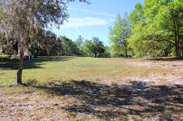 0 St Joe Rd, Dade City, FL 33525 - photo 11