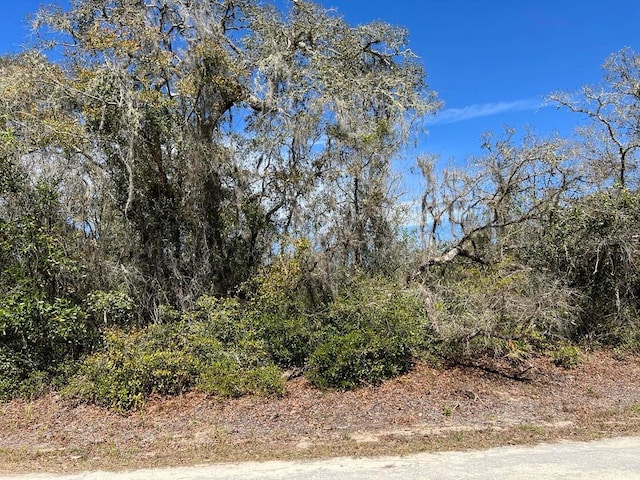 0 Riverstone St Lot 26, Webster FL, 33597 land for sale