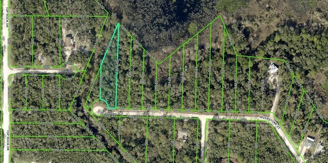 Listing photo 2 for 0 Riverstone St Lot 26, Webster FL 33597