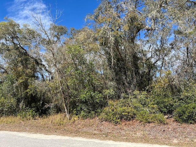 Listing photo 3 for 0 Riverstone St Lot 26, Webster FL 33597